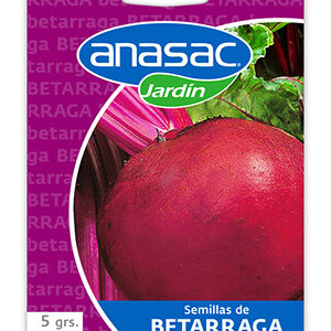 Semilla Betarraga 5 g