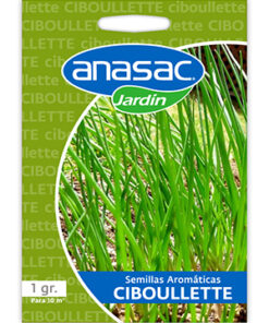 Semilla Ciboulette 1 g