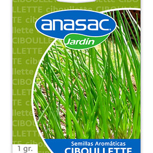 Semilla Ciboulette 1 g