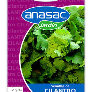 Semilla Cilantro 5 g