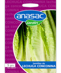 Semilla Lechuga Conconina 5 g
