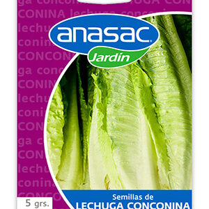 Semilla Lechuga Conconina 5 g