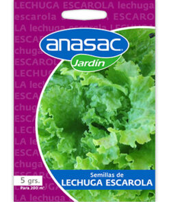 Semilla Lechuga Escarola 5 g (a pedido)