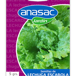 Semilla Lechuga Escarola 5 g (a pedido)