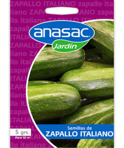 Semilla Zapallo Italiano 5 g