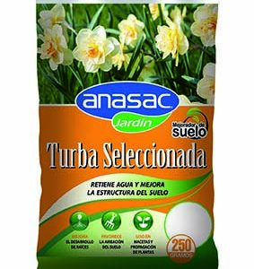 Turba