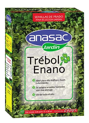 Líderes de La Industria Apícola en Chile – AGRO APICULTURA