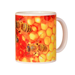 MUG MIEL EN PANAL PASIEKA