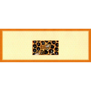 ETIQUETA AUTOIMPRESION 13X5cm ABEJA EN PANAL PASIEKA - 96 un