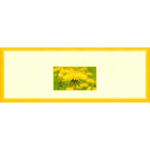 ETIQUETA AUTOIMPRESION 13X5cm FLOR AMARILLA PASIEKA - 96 un