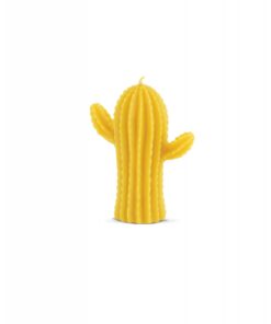 MOLDE SILICONA CACTUS