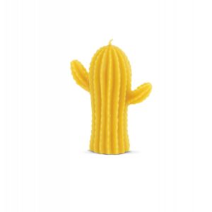 MOLDE SILICONA CACTUS