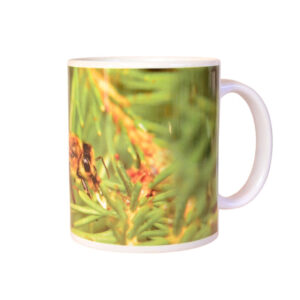 MUG FLOR VERDE PASIEKA