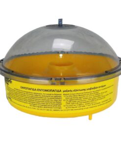TRAMPA CONTROL AVISPA ANEL