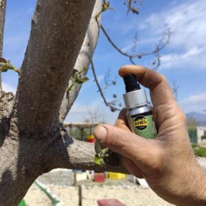 Alternative view of ATRAPA ENJAMBRES ALLURE SPRAY 30 ML