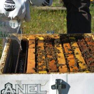 ALIMENTADOR ANEL SIMPEL SIN FLOTADOR 1.5 KG - Imagen 4