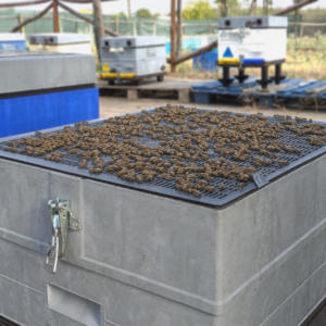 REJILLA TRAMPA PROPOLEO GRIS CON AGUJEROS ALIMENTACION ANEL - Imagen 3